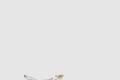 [JIMMY CHOO-지미추]Jean Paul Gaultier Bing 90