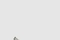 [JIMMY CHOO-지미추]Amel 50