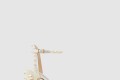 [JIMMY CHOO-지미추]Sacaria 100
