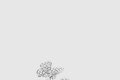 [VAN CLEEF-반클리프]투 버터플라이 반지 61900