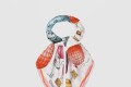 [LOUIS VUITTON-루이비통]업 앤드 어웨이 스퀘어 90 M77661