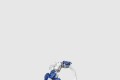 [VAN CLEEF-반클리프]앤 아펠 폴리 데 프레 반지 05700