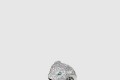 [CARTIER-까르띠에]팬더 반지 N4225200
