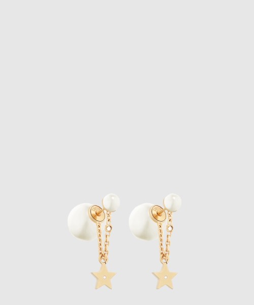 [DIOR-디올]Dior Tribales 귀걸이 E1894