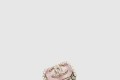 [CHANEL-샤넬]반지 ABC063