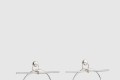 [HERMES-에르메스]Loop 귀걸이