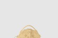 [LOUIS VUITTON-루이비통]미니 부아뜨 샤포 M11294