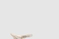 [JIMMY CHOO-지미추]Bing 65