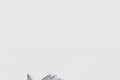 [NIKE-나이키]페가수스 41 일렉트릭 FN7678