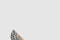 [JIMMY CHOO-지미추]Love 85