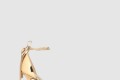 [JIMMY CHOO-지미추]ESTHER