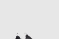 [JIMMY CHOO-지미추]MEMPHIS
