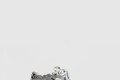 [BALENCIAGA-발렌시아가]러너 스니커즈 772767