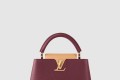 [LOUIS VUITTON-루이비통]카퓌신 BB M22677