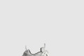 [BALENCIAGA-발렌시아가]10xl 스니커즈 792778