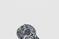 [LOUIS VUITTON-루이비통]데이 베이스볼 캡 M77807