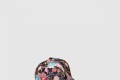 [GUCCI-구찌]베이스볼 캡 635477