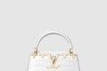 [LOUIS VUITTON-루이비통]카퓌신 미니 N86153