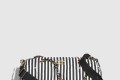 [CHANEL-샤넬]라지 볼링백 AS4696
