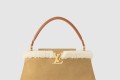 [LOUIS VUITTON-루이비통]카퓌신 GM 수플 M12784
