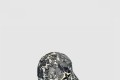 [LOUIS VUITTON-루이비통]베이스볼 캡 M85491