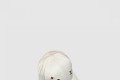 [LOUIS VUITTON-루이비통]베이스볼 캡 M98419