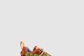 [GUCCI-구찌]크리스탈 스니커즈 577456