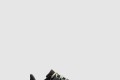 [NIKE-나이키]페가수스 41 FD2723