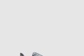 [NIKE-나이키]페가수스 41 FQ1356
