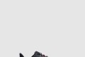 [NIKE-나이키]페가수스 플러스 FQ7261