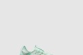 [NIKE-나이키]알파플라이 넥스트% 2 DV9425