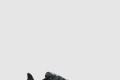 [NIKE-나이키]페가수스 41 FQ1356