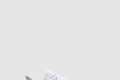 [NIKE-나이키]퀘스트 6 FD6033