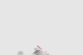 [NIKE-나이키]줌 보메로 5 FN3695