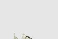 [NIKE-나이키]인피니티런 4 FB2197