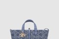 [DIOR-디올]미듐 뚜주흐 토트백 M2821