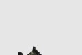 [NIKE-나이키]고베 6 프로트로 446442