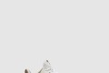 [NIKE-나이키]고베 5 엘리트 로우 386429