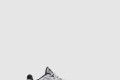 [NIKE-나이키]고베 ZK5 프로트로 CD4991