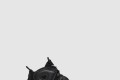 [NIKE-나이키]에어 모어 업템포 902290
