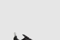 [NIKE-나이키]에어맥스 270 AH8050