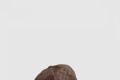 [LOUIS VUITTON-루이비통]팔각 모자 M43727