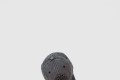 [BALENCIAGA-발렌시아가]베이스볼 캡 855412