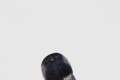 [BALENCIAGA-발렌시아가]베이스볼 캡 854631