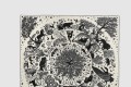 [HERMES-에르메스]Sous le Charme d'Orphee 숄 140