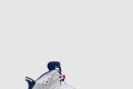 [NIKE-나이키]에어 조던 6 CT8529