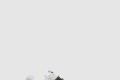 [NIKE-나이키]줌 보메로 5 FB9149
