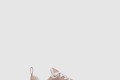 [DIOR-디올]Dior Vibe 스니커즈 KCK36