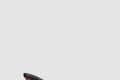 [LOUBOUTIN-루부탱]아포스트로파 뮬 메시 스트라스 3240795