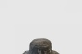 [LOUIS VUITTON-루이비통]선캡 M43473